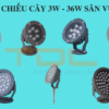 Tổng hợp chiếu cây 3w - 36w