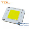 Chip LED COB 30W kiểu TF